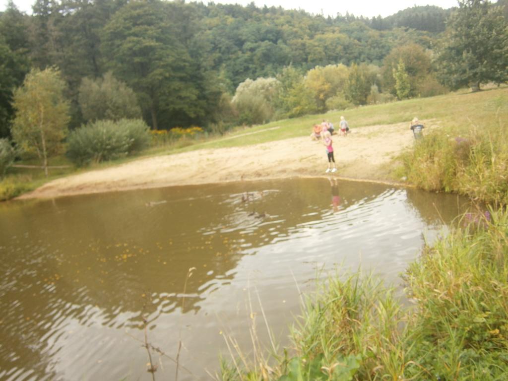 Vila Sazava Esterno foto