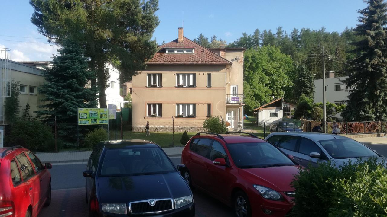 Vila Sazava Esterno foto